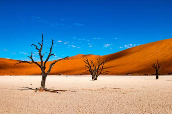 Namibia Roadtrip: Safari Glamping & feuerrote Wüsten