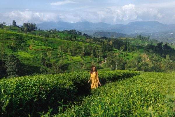 Sri Lanka & Malediven: Highland Highs meet Beach Paradise