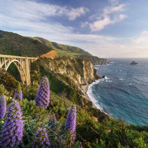 California Bucketlist: Beach Lovers & Roadtrip Summers!