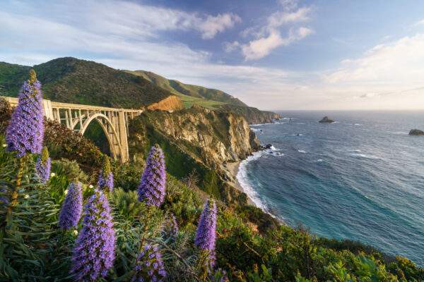 California Bucketlist: Beach Lovers & Roadtrip Summers!