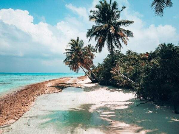 Malediven Inselhopping: Palm Trees & Ocean Breeze!