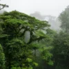 Costa Rica Bucketlist- Jungle Nights & Pura Vida! (Quelle: Journaway)