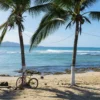 Costa Rica Bucketlist- Jungle Nights & Pura Vida! (Quelle: Journaway)