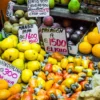 Costa Rica Bucketlist- Jungle Nights & Pura Vida! (Quelle: Journaway)