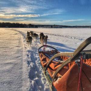Winterabenteuer Lappland