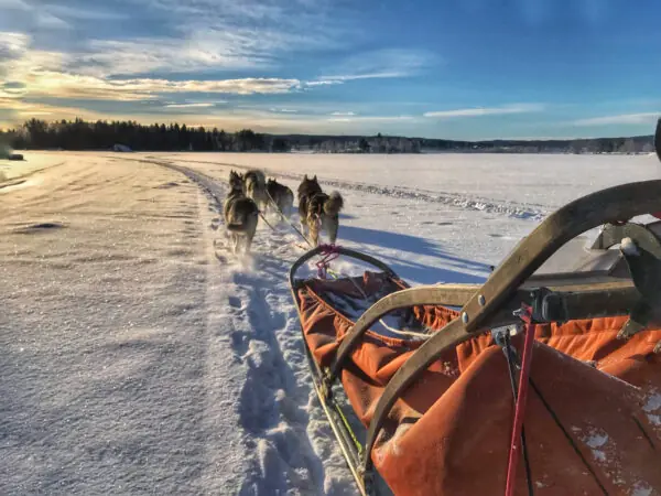 Winterabenteuer Lappland