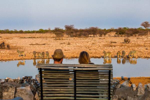 Namibia Abenteuer: Desert Glamping & Safari Roadtrip