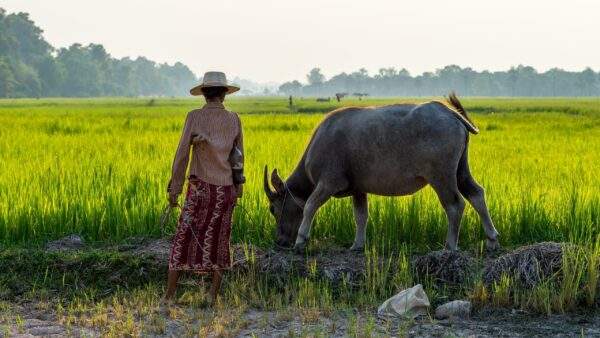 Kambodscha Intense: Floating Village & Jungle Experience