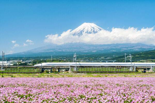 Japan Railroad-Adventure: City Hopping im Shinkansen