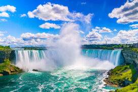 Ontario Bucketlist: Roadtrip, Wildlife & City Scenes!