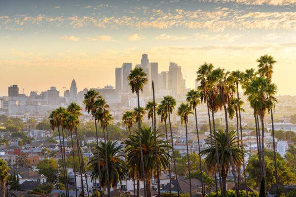 Abenteuer USA: City Hopping from East to West