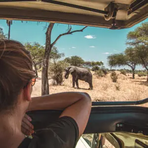 Tansania & Sansibar: Glamping unter den Big Five