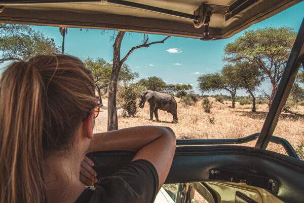Tansania & Sansibar: Glamping unter den Big Five