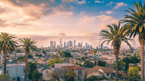 Abenteuer USA: City Hopping from Coast to Coast