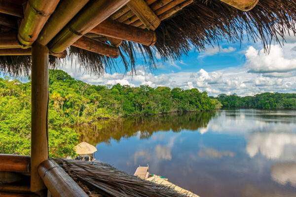 Brasilianisches Abenteuer: In den grünen Tiefen des Amazonas