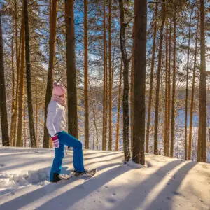 Finnlands Winterzauber: Abenteuer unter dem Polarlicht