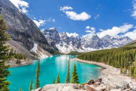 California Bucketlist: Roadtrip Dreams & National Wonders!