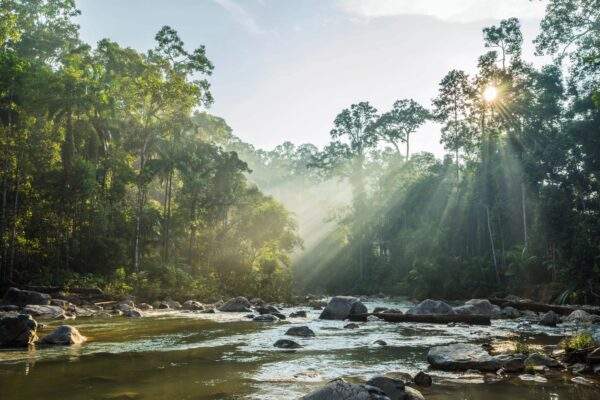 Jungle Nights & City Lights: Sumatra, Malaysia & Singapur!