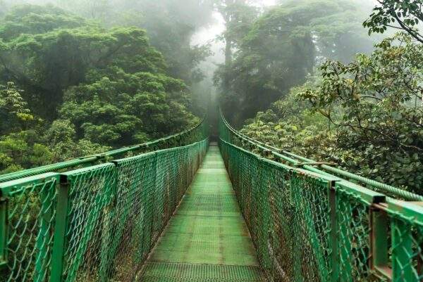 Costa Rica & Panama: Jungle Adventure zum Island Stay!